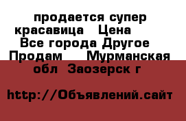 продается супер красавица › Цена ­ 50 - Все города Другое » Продам   . Мурманская обл.,Заозерск г.